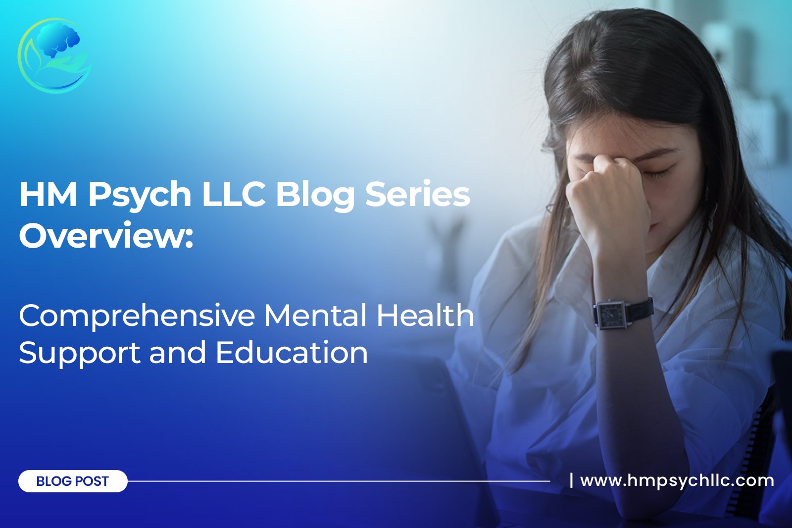 HM Psych LLC Blog Series Overview | Comprehensive Mental Health Support and Education