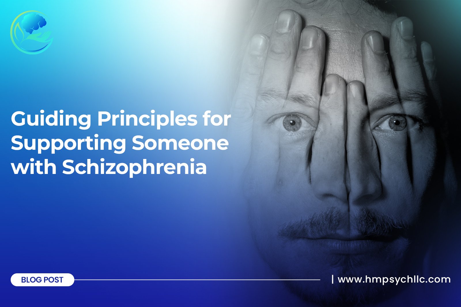Guiding Principles for Supporting Someone with Schizophrenia