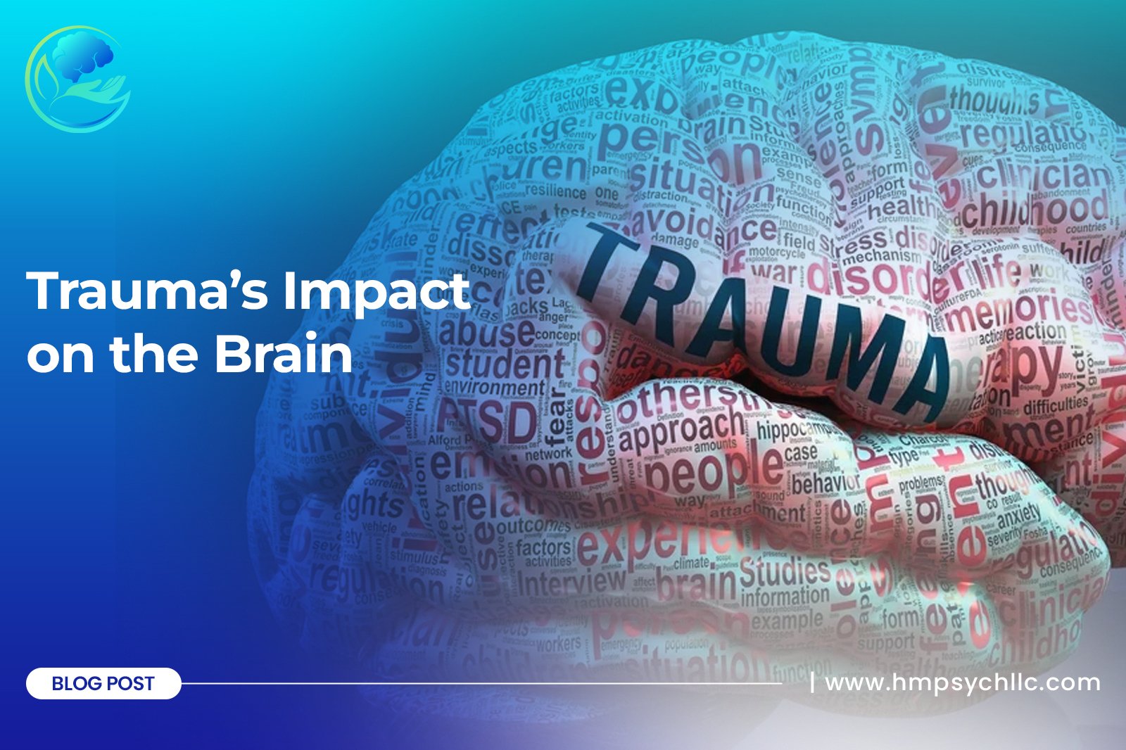 Trauma’s Impact on the Brain